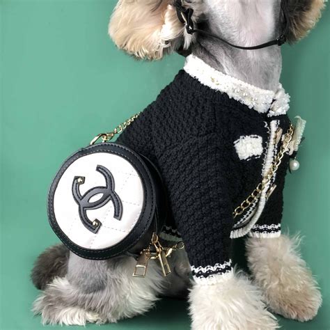 purrfect chanel dog accessories.